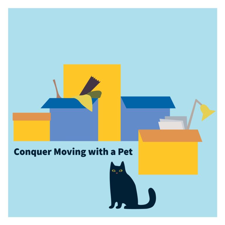 moving-with-pet-blog-01