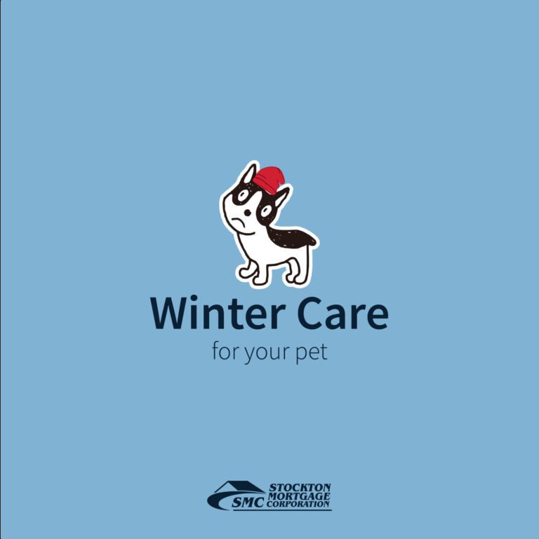 winter-care-blog-cover
