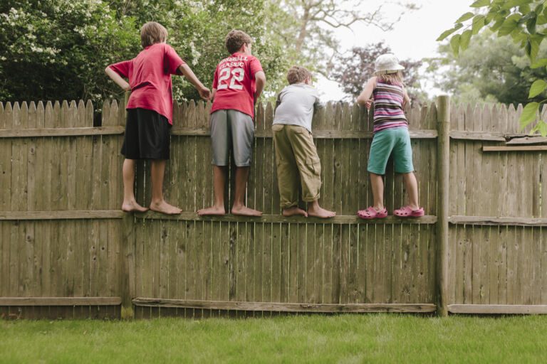 Children On Fence Playing Together In Summer