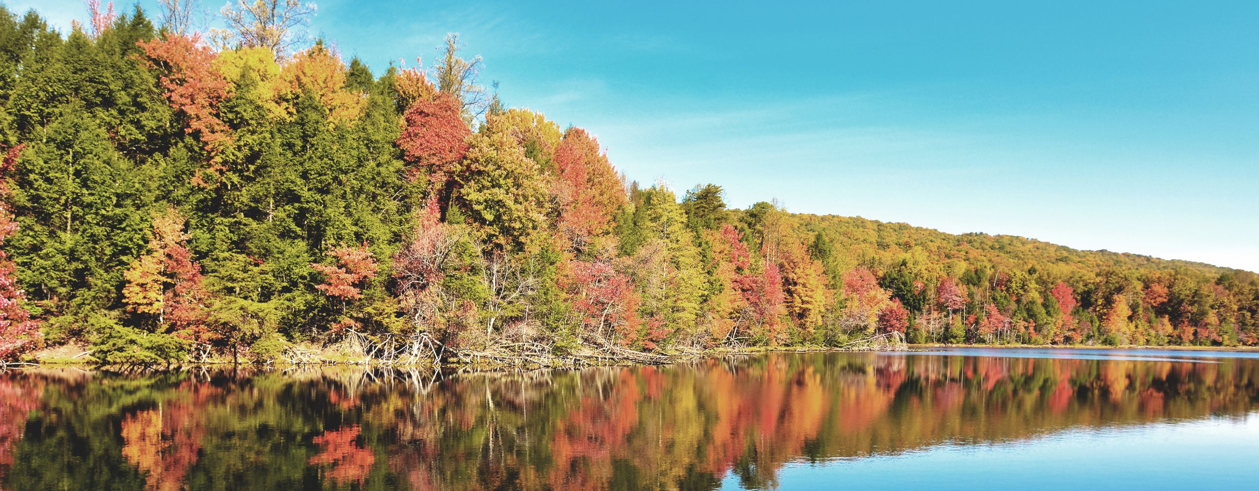 Fall landscape and autumn trees reflection at Bays Mountain Lake
