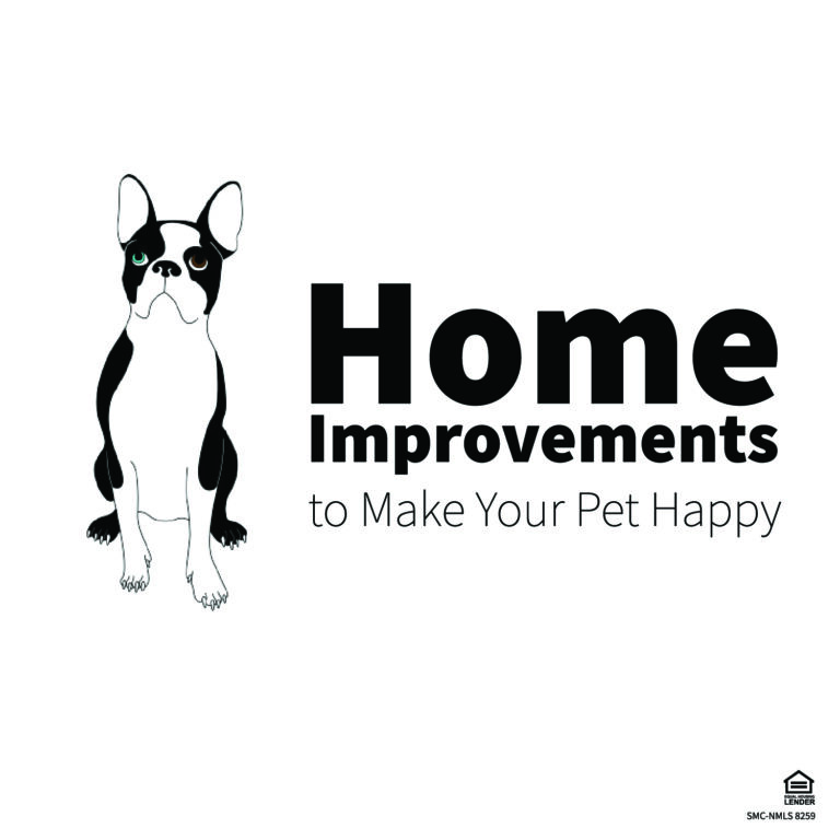 Home-improvements-to-make-your-pets-happy-blog-01