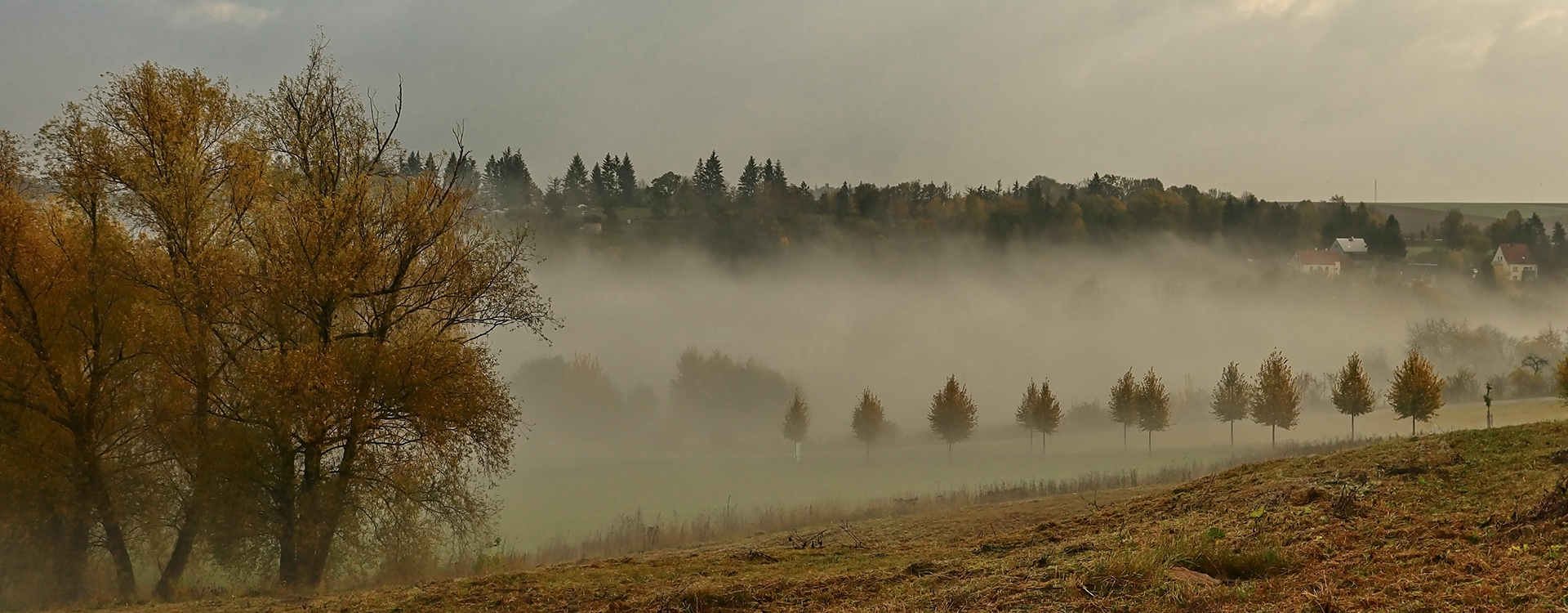 autumn fog in the valley